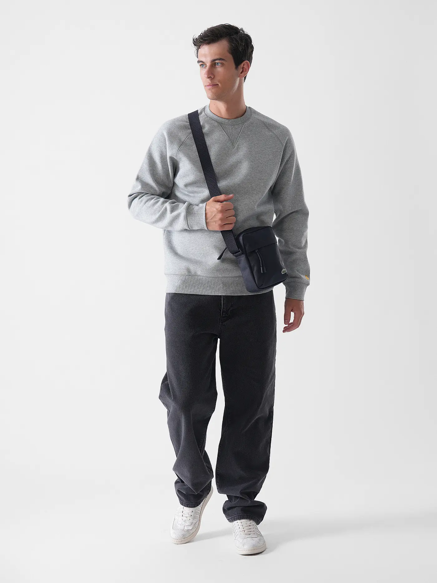 CARHARTT WIP | Sweater CHASE | grau